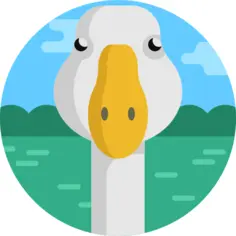 Goose