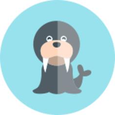 Walrus
