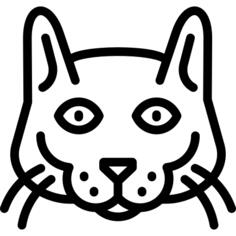 呵叻猫