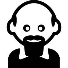 Man with bald head and hairy bard