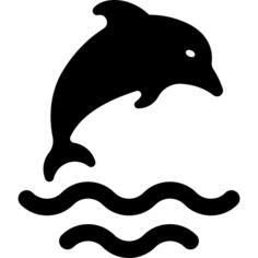 海豚