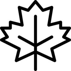 Maple leaf