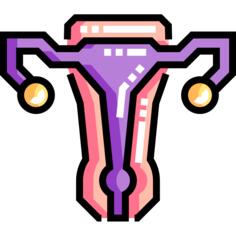 Vagina
