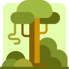 Rainforest
