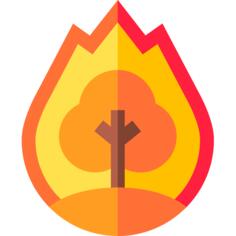 Forest fire