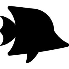Tropical Fish