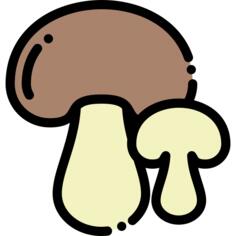 蘑菇