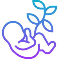 Embryo