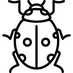Big Ladybug