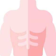 Body