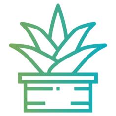 芦荟