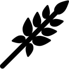 小麦