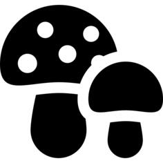 Two Mushwooms