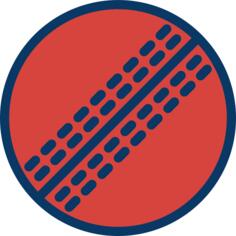 Cricket ball