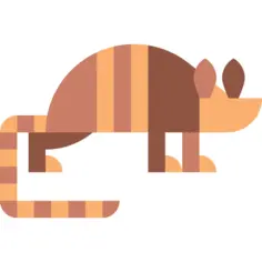 Armadillo