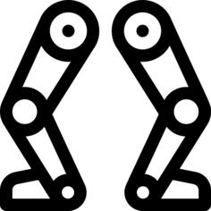 Leg