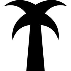 Plain palm tree