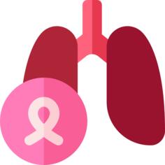 Lungs