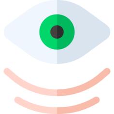 Eye