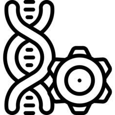 Dna