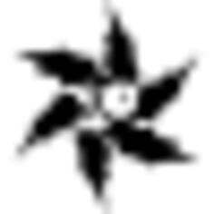 Star flower