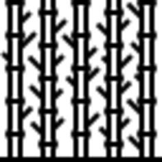 Bamboo