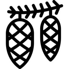 Cones