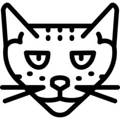 萨凡纳猫