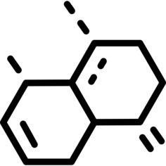 分子