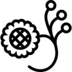 花有三个芽