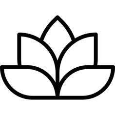 莲花
