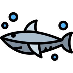 Shark