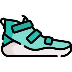 Shoe