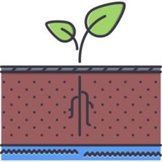 Sprout
