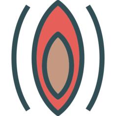 Vagina