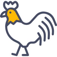Rooster