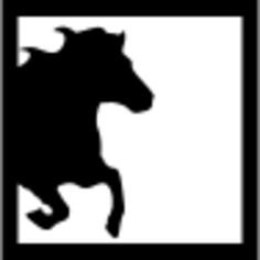 Horse half image inside a square frame