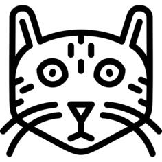 Bengal cat
