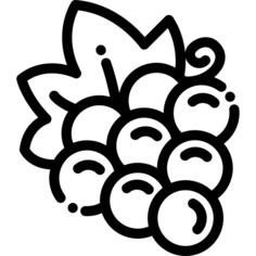 葡萄
