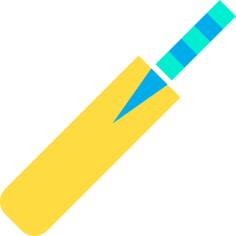 Cricket bat