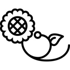 花卉设计