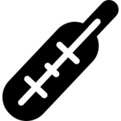 Medical thermometer