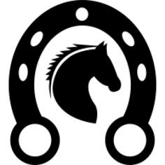 Horse head in horseshoe