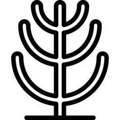 仙人掌