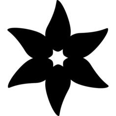 花与细长的花瓣