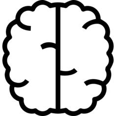 Brain
