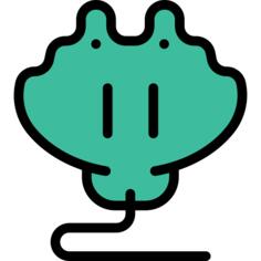 射线
