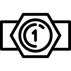冠军腰带