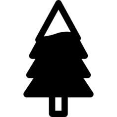 Pine
