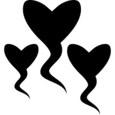 Heart shaped sperm
